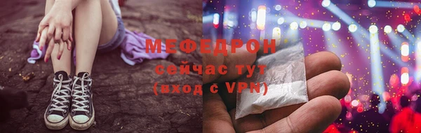 стаф Арсеньев