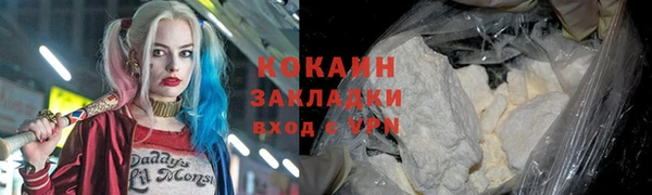 стаф Арсеньев