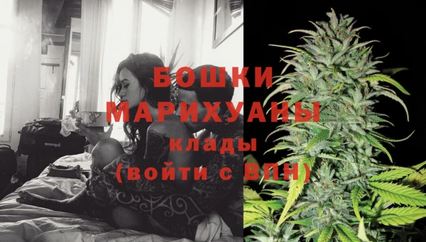 ПСИЛОЦИБИНОВЫЕ ГРИБЫ Аркадак