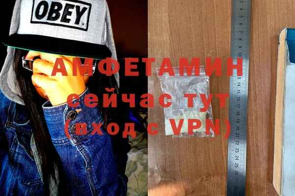 стаф Семилуки