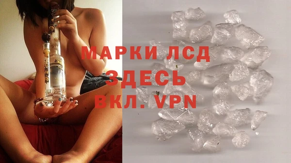 стаф Арсеньев